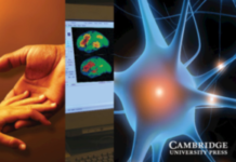 Do Antipsychotics Protect Against Early Death? Or Contribute to It?