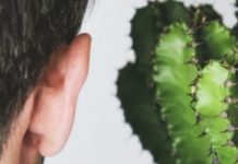 The Patient Voice: Antidepressant Withdrawal, MUS and FND