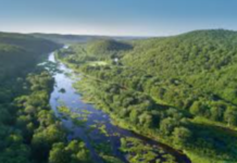 The Real Cure for COVID Is Renewing Our Fractured Relationship With the Planet