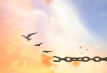 CRPD Consultation on Deinstitutionalization: A Reparations Approach