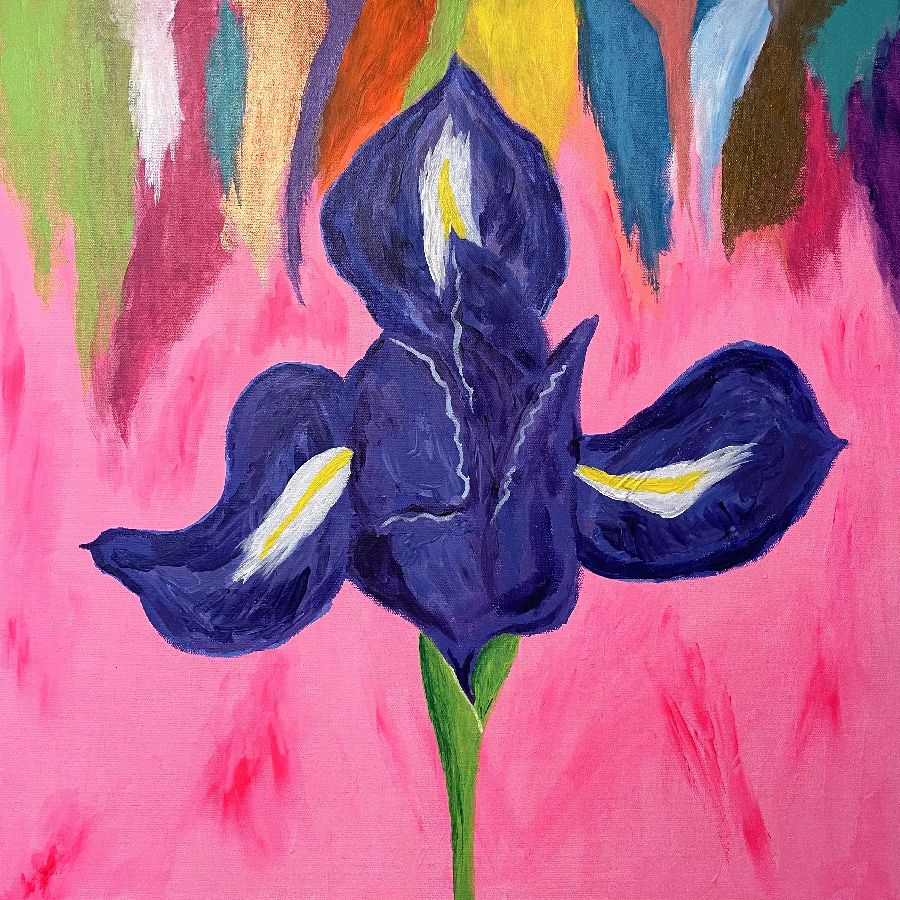 A purple iris with a colorful pink background