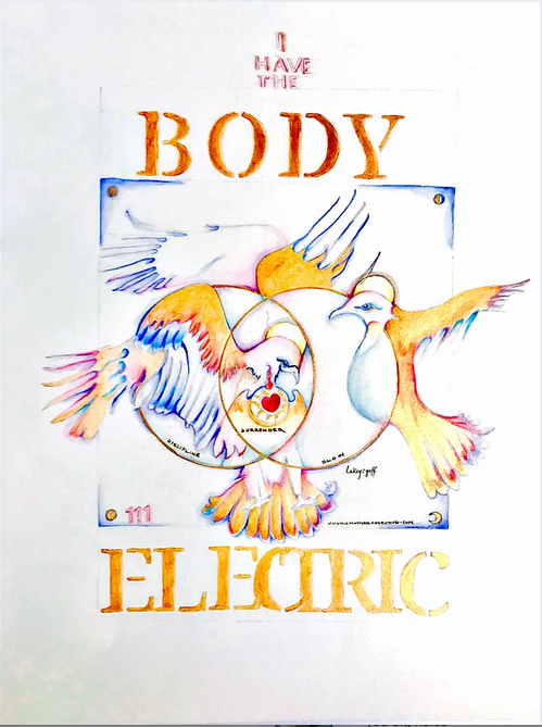 Illustration in orange of birds and the words "body electric"