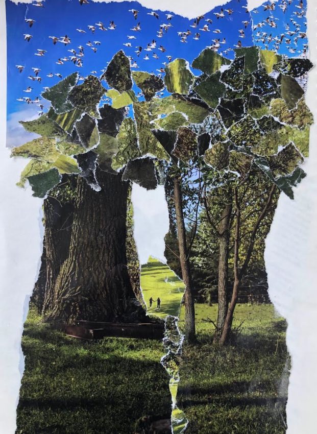Torn paper collage of trees, birds and the sky