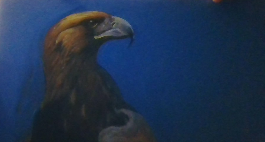 A painted eagle on a blue background