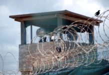 Psychologists Should Now Lead the Call to Close Guantánamo