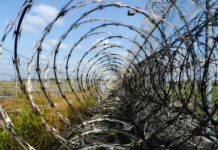 Family Member Incarceration in Childhood Linked to Diabetes