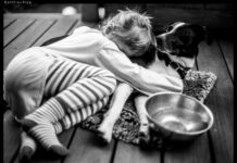 Pets More Effective for Grief Support than Humans, Study Finds