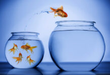 Mental Health Survival Kit, Chapter 5: Survival Kit for Young Psychiatrists in a Sick System (Part 1)