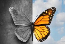 Meds vs. No Meds? My Search for Freedom of Mind