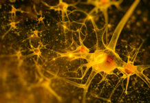 Tapered Antipsychotic Withdrawal Mitigates Risk of Psychotic Symptoms