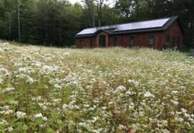 Inner Fire: Where Seekers Have a Choice Photograph of East Wing and a field of buckwheat