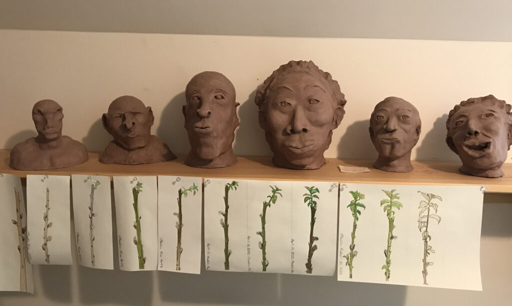 Photograph of clay sculpture heads on a shelf