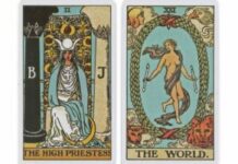 Tarot Isn’t Just About the Future, But Making Sense of the Present. No Wonder the Pandemic Is Bringing It Back