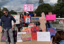 #FreeBritney Takes the Capitol: Rallygoers Seek Momentum for Guardianship Reform Photograph of Free Britney rallygoers holding signs in front of the White House in DC