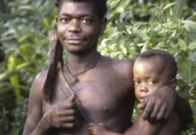 How Hunter-Gatherers Maintained Their Egalitarian Ways | Peter Gray, PhD