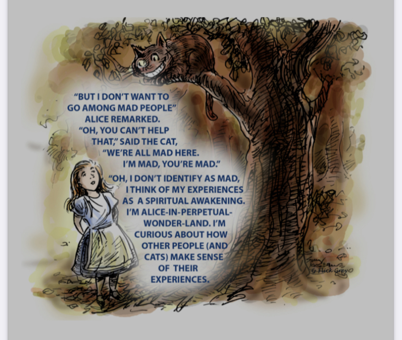 An illustration of Alice, from Alice in Wonderland, speaking with Chester the Cat saying "But I don't want to go among mad people, Alice remarked. "Oh you can't help that, said the Cat, "we're all mad here. I'm mad, you're mad." "Oh, I don't Identify as mad, I think of my experiences as a spiritual awakening. I'm Alice-in-perpetual-wonderland. I'm curious about how other people (and cats) make sense of their experiences"