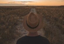 Why Not Seek Treatment Through the Mental Health System? photo of a person from the back looking at a sunset over a long road