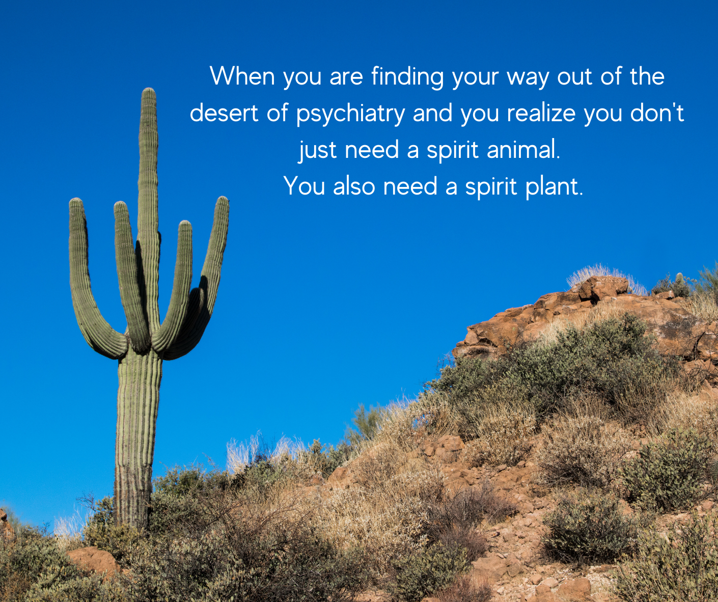 When you are finding your way out of the desert of psychiatry and you realize you don’t just just need a spirit animal. You need a spirit plant