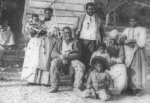 Family Deeds: Constellation Therapy & Generations of Trauma