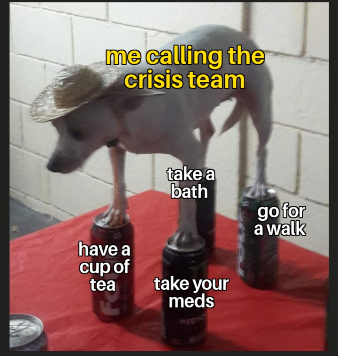 A small dog, labeled "me calling the crisis team", standing on four beer cans labeled "have a cup of tea" "take a bath" "go for a walk" "take your meds"