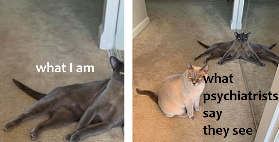 Two frames, one, labeled "What I am" of a cat leaning against a wall. The second, labeled "What Psychiatrists See" shows the cat is leaning against a mirror and it looks like an octopus.