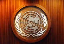 The New WHO and UN Guidance: Psychiatry Must Entirely Change United Nations logo in UN headquarters in Manhattan New York City
