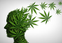 Significant Association Between Cannabis Use and Psychotic Disorders