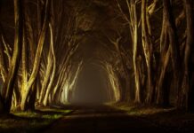 Grief: A Shamanic Perspective