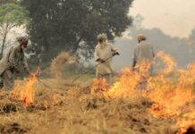 Suicide, Indian Farmers, Indigenous North Americans… and the Shame of Shrinks | Bruce Levine, PhD