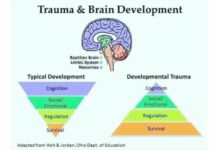 The Bear in the Classroom – Trauma-Informed Teacher