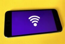 Wireless Mind, Gullible Mind | Chellis Glendinning
