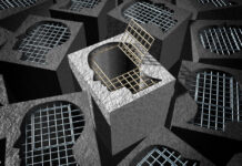 Inside a Forensic Psychiatry Unit: Suppressive Action as an Important Tool to Control Information