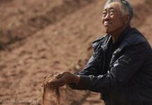 Ecological Trauma and Common Addiction