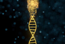 Major Depression: The “Chemical Imbalance” Pillar Is Crumbling—Is the Genetics Pillar Next? DNA particles and diffused glowing lines, 3d rendering