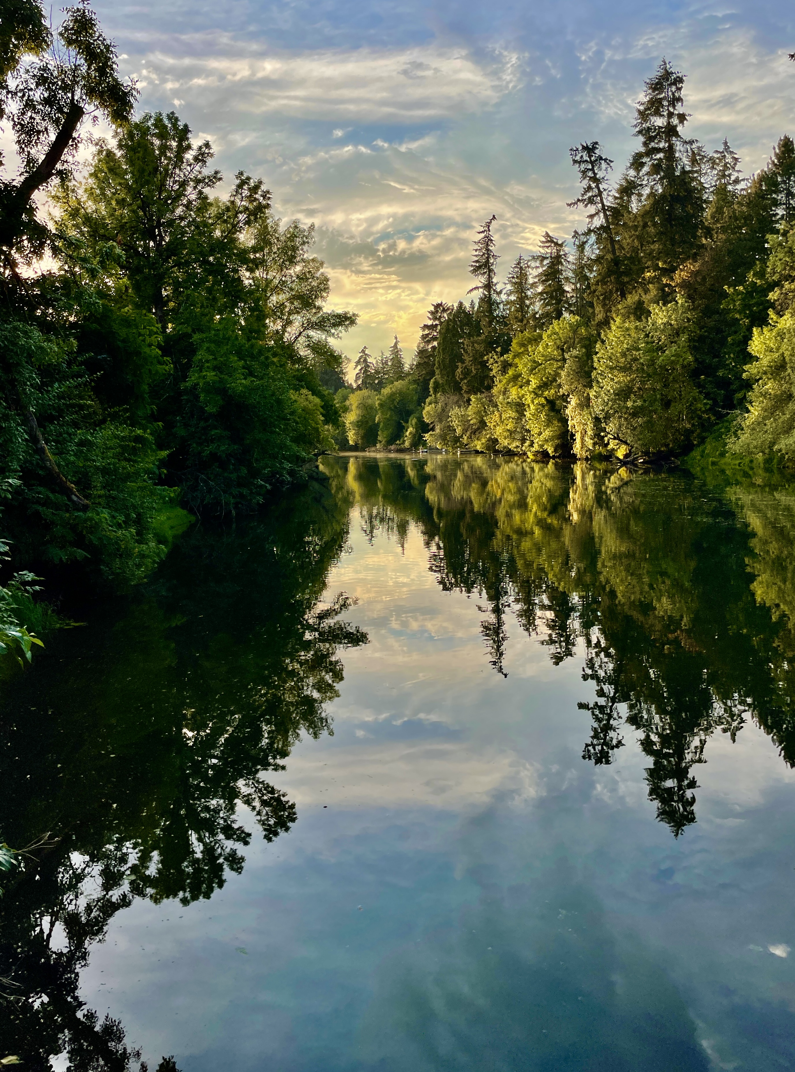 A colorful photograph of a river and trees