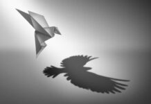 An Illness, or Risky Experimentation? Black and white illustration of a flying origami bird with a giant realistic bird for a shadow