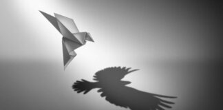 An Illness, or Risky Experimentation? Black and white illustration of a flying origami bird with a giant realistic bird for a shadow