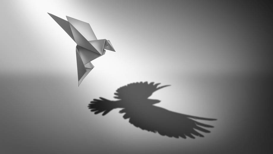 Black and white illustration of a flying origami bird with a giant realistic bird for a shadow