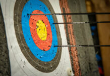 From the Health Minister Down, Nobody Is Seriously Interested in the Quality Control of Mental Health A photograph of an archery target with three arrows in it. None have hit the bullseye.