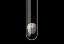 Critical Psychiatry Textbook, Chapter 4: Are Psychiatric Disorders Caused by a Chemical Imbalance? Illustration of a brain in a test tube against a black background
