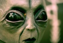 Trauma Can Turn the World Into a Gathering of Aliens