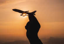Can’t Be Trusted: A Book Review Review A hand holding a toy plane with sunset light