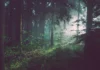 Untitled Short Story by Jill Donnell