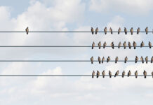 Not Everyone Agreed With FDA Approval of Antipsychotic Rexulti for Agitation Illustration depicting birds on wires. One bird sits far apart from the crowd.