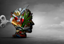 Risk of Schizophrenia Diagnosis Higher Following Cannabis-Induced Psychosis, Study Shows