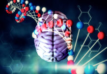 No Difference in Antidepressant Effectiveness After Genetic Testing brain against blue dna strand with chemical structures
