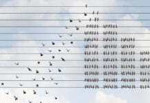 Report on Improving Mental Health Outcomes Illustration: Birds on lines organizing into the shape of a bar graph