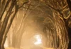 A Different Path In The Same Woods by Moth Gorman