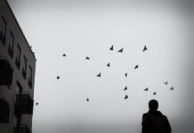 A New Vision for Mental Health Care at Soteria Jerusalem black and white art photo of birds and a silhouetted human figure near a building