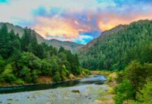 Grant, Interrupted: An Introduction and Report Back from Oregon